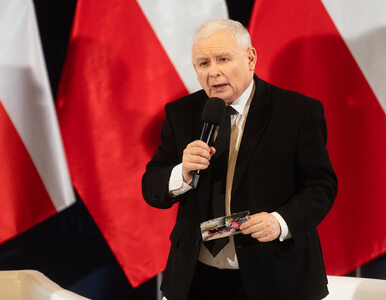 Miniatura: Kaczyński: Potrzebujemy jak najwięcej...