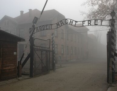Kuriozalne wpisy dziennikarza TVP. Jest reakcja Muzeum Auschwitz-Birkenau