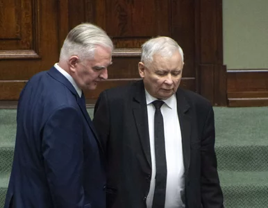 Miniatura: Kaczyński o Zjednoczonej Prawicy: Tarcia...