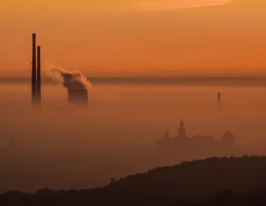 Miniatura: Program „Czyste powietrze”. Teraz będzie...