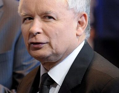 Miniatura: PO: Kaczyński musi wycofać się z polityki