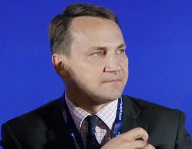 Miniatura: Sikorski potępia masakrę ludności cywilnej...