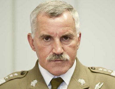 Miniatura: Niejasne obietnice w NATO. Gen. Bieniek:...