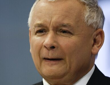 Miniatura: "Kaczyński po zwycięstwie będzie jak wójt...