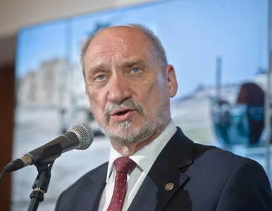 Miniatura: Macierewicz: Jeśli prokuratura nie zajmie...