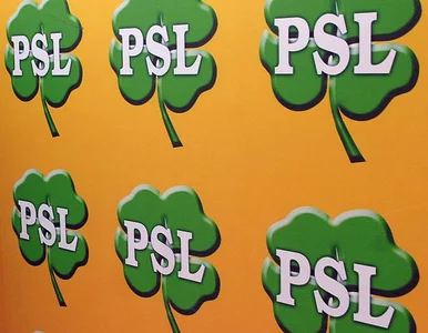 Miniatura: PSL o PiS: gęby pełne frazesów