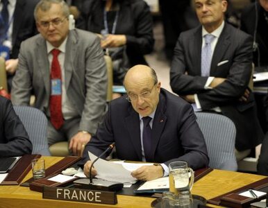 Miniatura: Francja: Asad morduje ludzi, ci którzy nie...