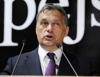 Miniatura: PiS: Orban przywraca demokrację, a UE...