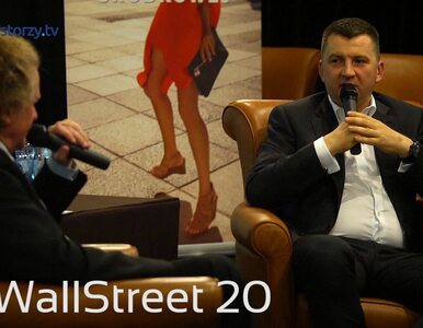 Konferencja WallStreet 20: Spotkanie Dariusza Miłka, Prezesa Zarządu CCC...