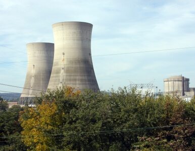 Miniatura: Rosjanie nie chcą energii jądrowej