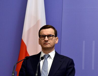 Miniatura: Polska zyskała Zespół ds. Polityki...