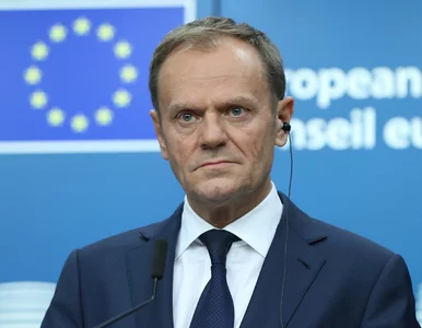 Miniatura: „Prezydent Donald Tusk”. Oświęcim...