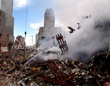 Miniatura: Ameryka boi się powtórki z 11 września....