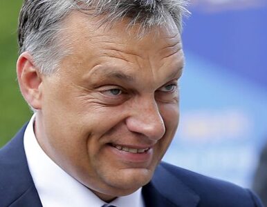 Miniatura: Węgry: koalicja Orbana traci poparcie