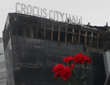 Miniatura: Atak na Crocus City Hall. Napastnicy mieli...