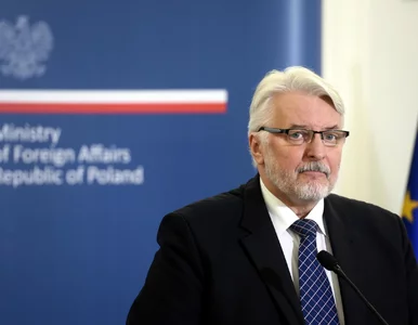 Miniatura: Szef MSZ: Według niektórych polityków...