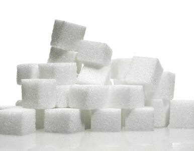 Miniatura: Cukier już nie krzepi
