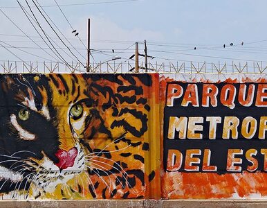 Wenezuelczycy ukradli i zjedli zwierzęta z zoo? Trwa policyjne śledztwo