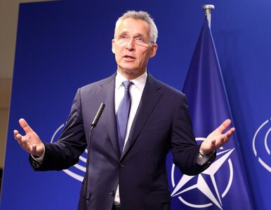 Miniatura: Ważna zapowiedź szefa NATO. „Szwecja i...