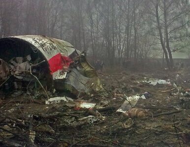 Miniatura: Seremet: wybuch w Tu-154? Nie ma...