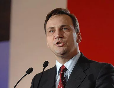 Miniatura: Radosław Sikorski - obernarcyz