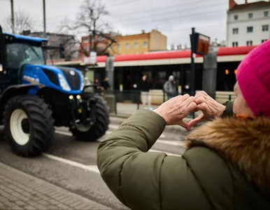 Miniatura: Zielony Ład wyprowadził europejskich...