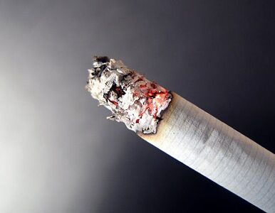 Miniatura: Polacy bronią mentolowych papierosów