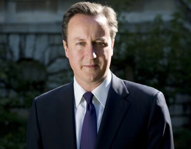 Cameron otwarcie grozi zerwaniem szczytu