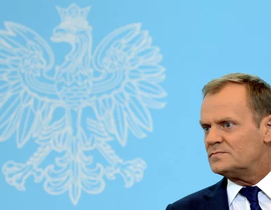 Miniatura: Tusk: komisja śledcza? Rząd fachowców? Są...