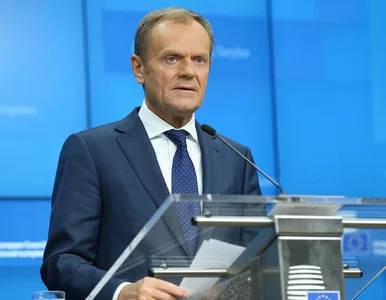 Miniatura: Donald Tusk: 3 maja w Polsce będę miał coś...