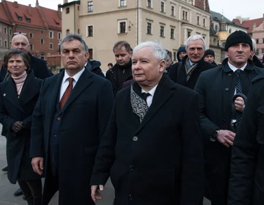 Miniatura: Marcin Dzierżanowski: Polska nie pójdzie...