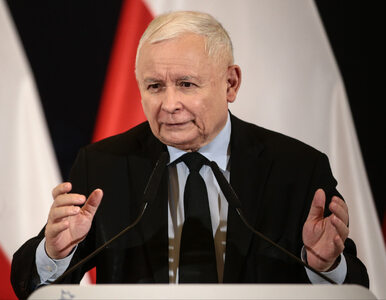 Miniatura: Kaczyński: Kamiński wiedział, że może to...