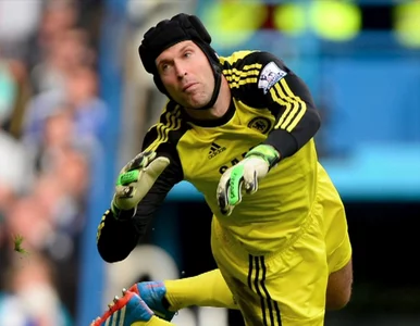 Miniatura: Courtois wraca do Chelsea. Cech: Nie będę...