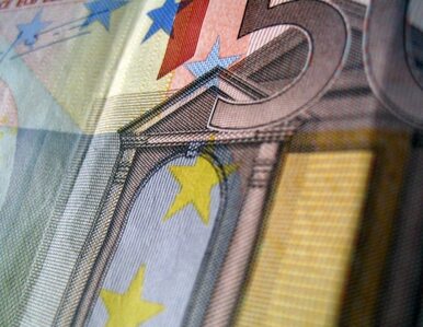 Miniatura: "The Wall Street Journal": strefie euro...