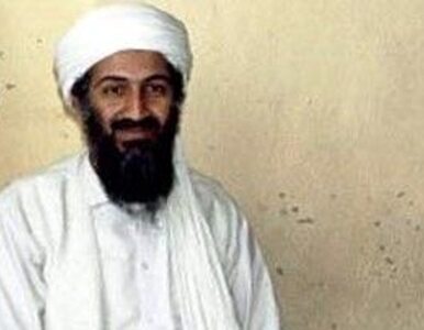 Miniatura: Zabiliśmy bin Ladena, zabiliśmy Kadafiego...