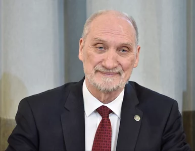 Miniatura: Macierewicz ostro o Hołowni. Uznał, że nie...