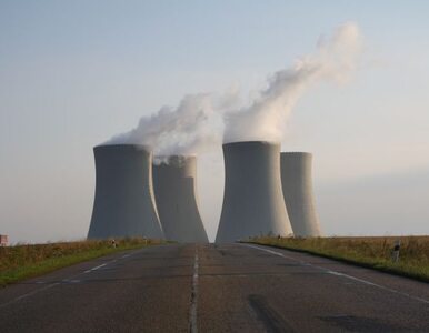 Miniatura: "Elektrownia atomowa? Referendum jest...