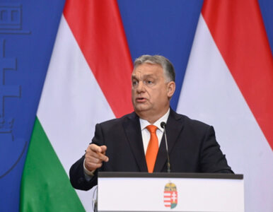 Orban chce rozwiązania Parlamentu Europejskiego. „Osuszyć bagno”