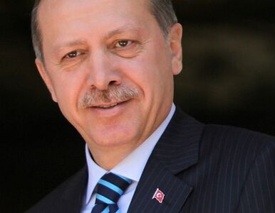 Miniatura: Turcja zbuduje drugi Bosfor