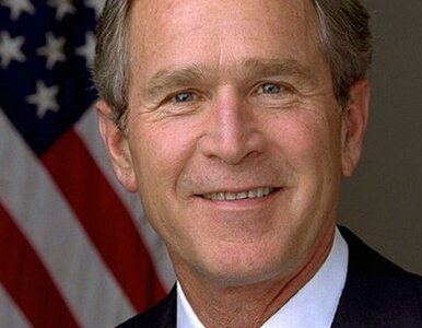 Miniatura: Bush i Blair wezwani przed Trybunał...