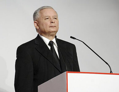 Miniatura: "Kaczyński jest najdzielniejszym...