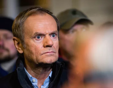 Miniatura: Gdula dla „Wprost”: Donald Tusk nie chwyta...