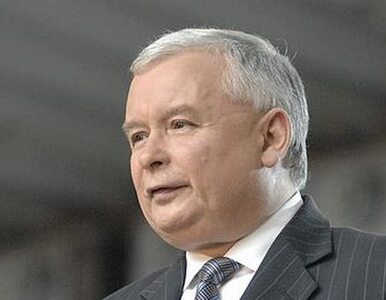 Miniatura: Kaczyński: przyjęcie konwencji...