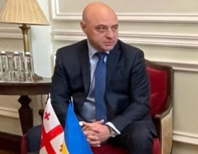 Miniatura: Ambasador Gruzji opuścił Kijów. Kolejna...
