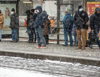 Miniatura: Czechy miały luzować obostrzenia. Na kilka...