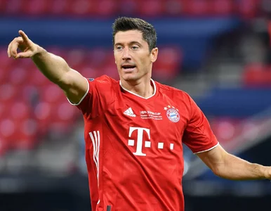 Miniatura: Lewandowski obronił pracę magisterską....