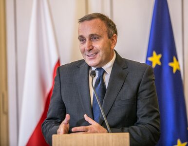 Miniatura: PiS uderza w nowego szefa Platformy...
