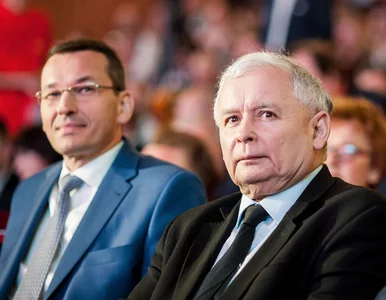 Miniatura: Morawiecki premierem? Wiceprezes PiS:...