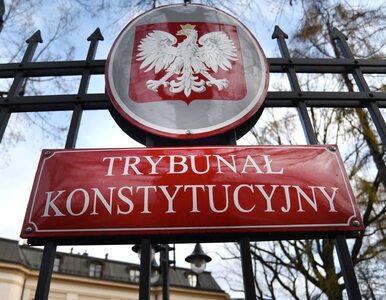 Miniatura: Kaczyński zapowiedział przyjęcie ustawy w...