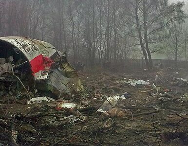 Miniatura: Co spowodowało katastrofę w Smoleńsku?...